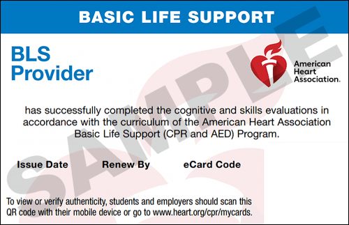 Sample American Heart Association AHA BLS CPR Card Certification from CPR Certification Baton Rouge