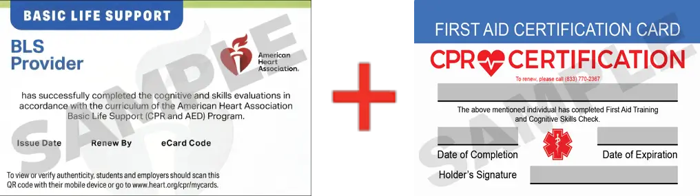 Sample American Heart Association AHA BLS CPR Card Certification and First Aid Certification Card from CPR Certification Baton Rouge